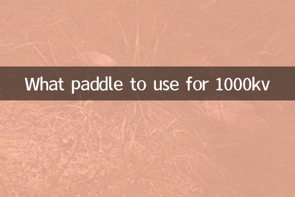 ما المجداف الذي يجب استخدامه لجهد 1000 كيلو فولت