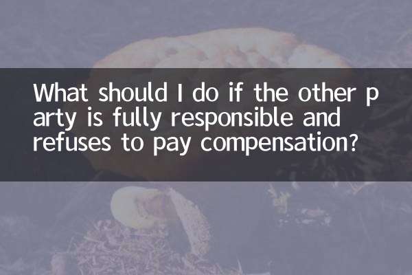 اگر طرف مقابل کاملاً مسئول باشد و از پرداخت غرامت امتناع کند، چه باید بکنم؟
