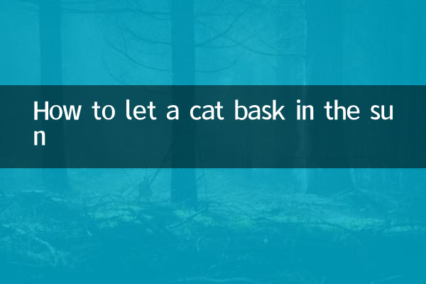 কীভাবে একটি বিড়ালকে রোদে ঝাঁকতে দেওয়া যায়