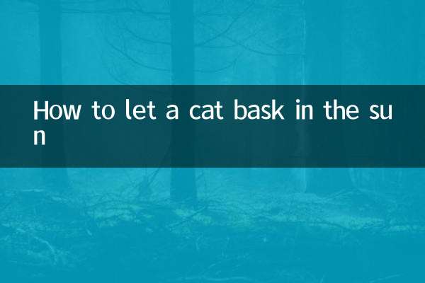 কীভাবে একটি বিড়ালকে রোদে ঝাঁকতে দেওয়া যায়