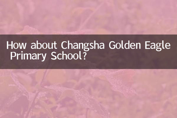 창사 검독수리 초등학교는 어떻습니까?