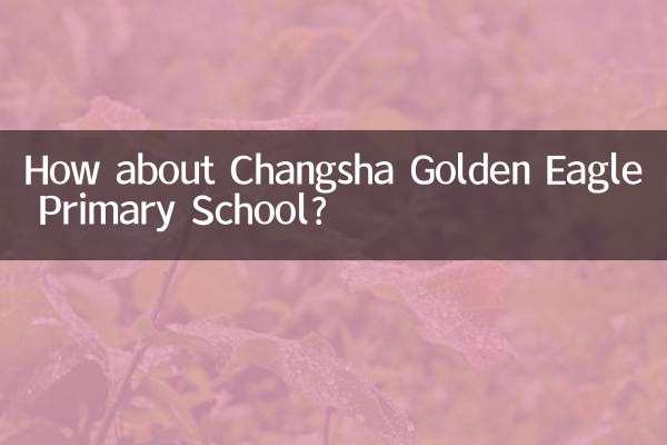 長沙金鷲小学校はどうですか？