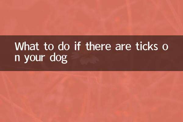 Was tun, wenn Ihr Hund Zecken hat?