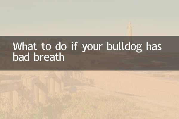 ماذا تفعل إذا كان كلبك يعاني من رائحة الفم الكريهة