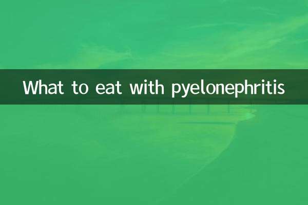肾盂肾炎吃什么食物