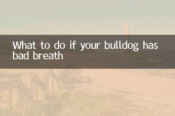 আপনার বুলডগের নিঃশ্বাসে দুর্গন্ধ হলে কী করবেন
