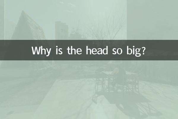 Почему голова такая большая?