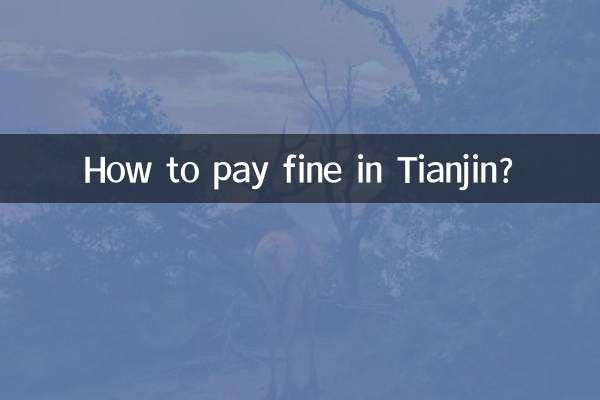 Wie bezahle ich in Tianjin eine Strafe?