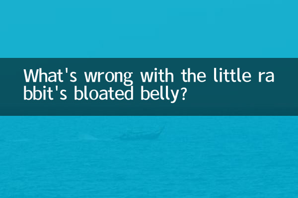 छोटे खरगोश के फूले हुए पेट में क्या खराबी है?