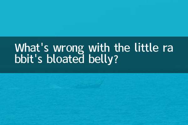 小兔肚脹怎麼回事