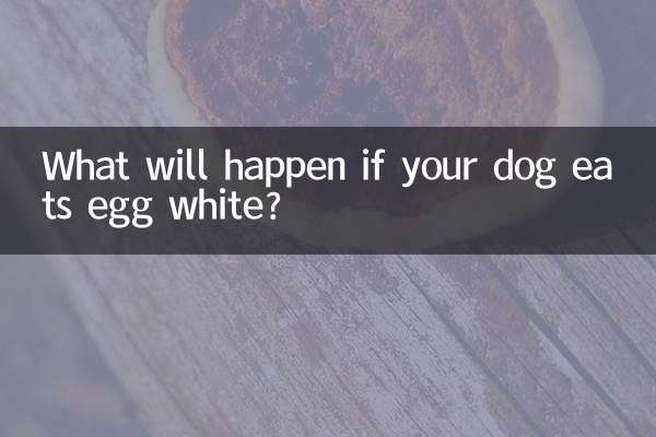 犬が卵白を食べるとどうなりますか?