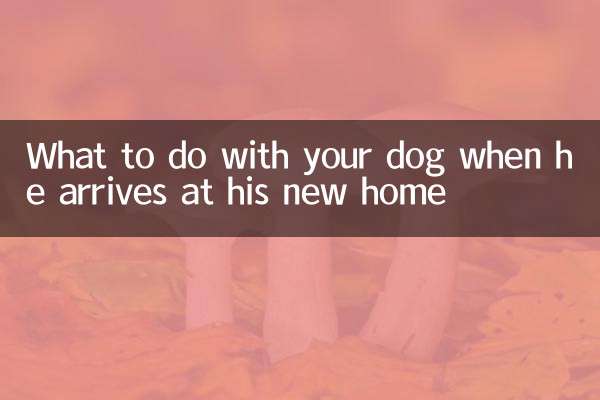 Was tun mit Ihrem Hund, wenn er in seinem neuen Zuhause ankommt?