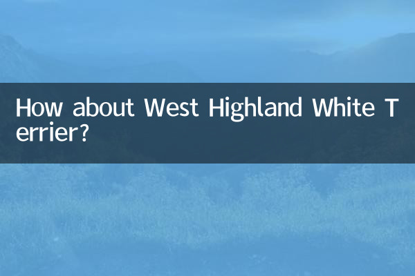 در مورد وست هایلند وایت تریر چطور؟