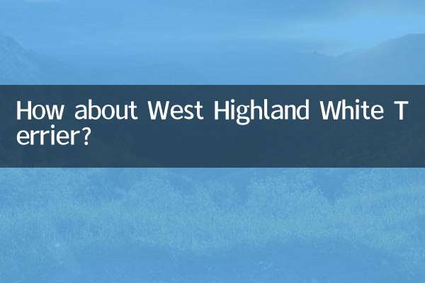 در مورد وست هایلند وایت تریر چطور؟