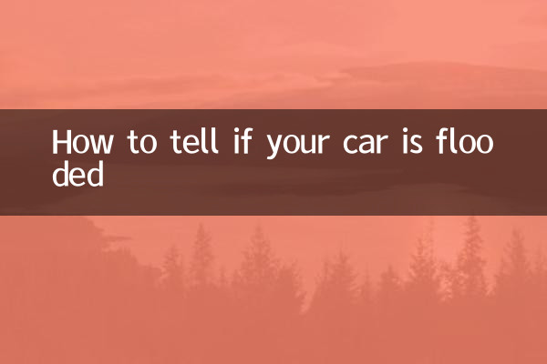 Cómo saber si tu coche está inundado