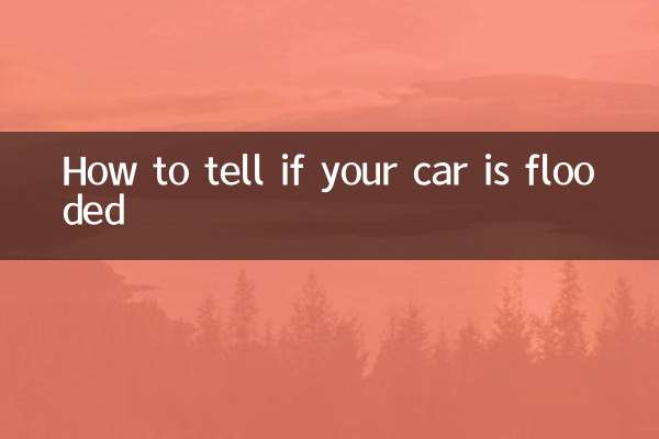 كيف تعرف إذا غمرت المياه سيارتك