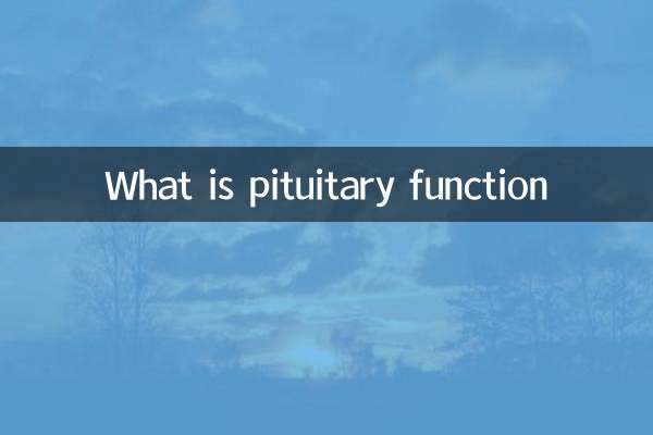 垂體功能是什麼