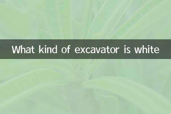 Quel type d'excavateur est blanc