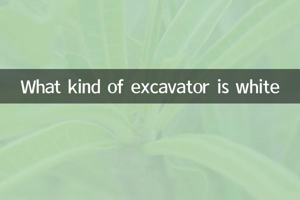 Quel type d'excavateur est blanc