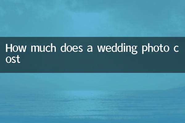 شادی کی تصویر کی قیمت کتنی ہے؟