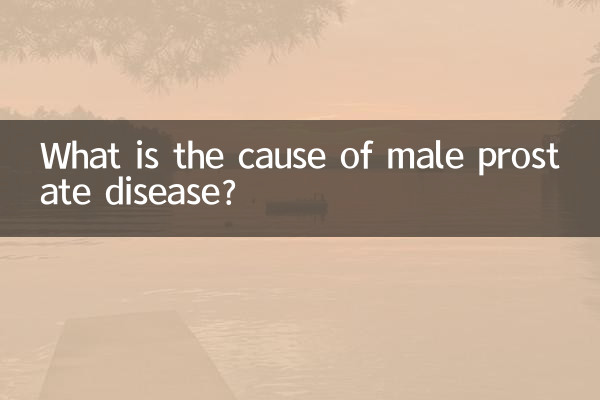 Was ist die Ursache einer männlichen Prostataerkrankung?
