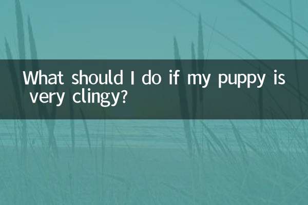 What should I do if my puppy is clingy?