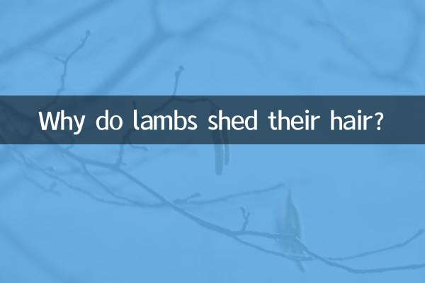 Why do lambs shed their hair?