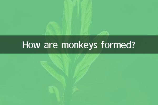 Comment se forment les singes ?