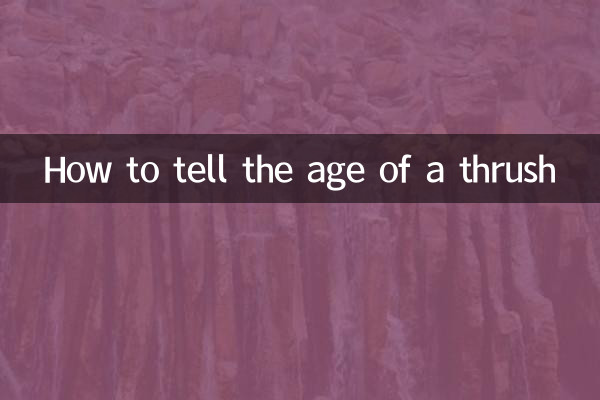 畫眉鳥年齡怎麼看