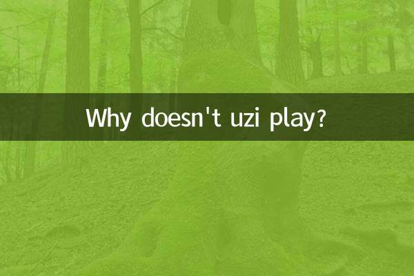 اوزی کیوں نہیں کھیلتا؟