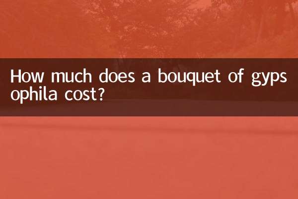 How much does a bouquet of gypsophila cost?