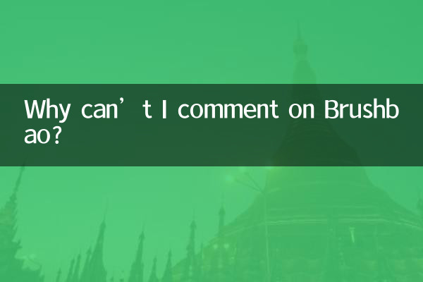 왜 Brushbao에 댓글을 달 수 없나요?