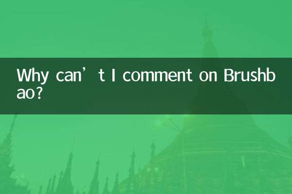 왜 Brushbao에 댓글을 달 수 없나요?