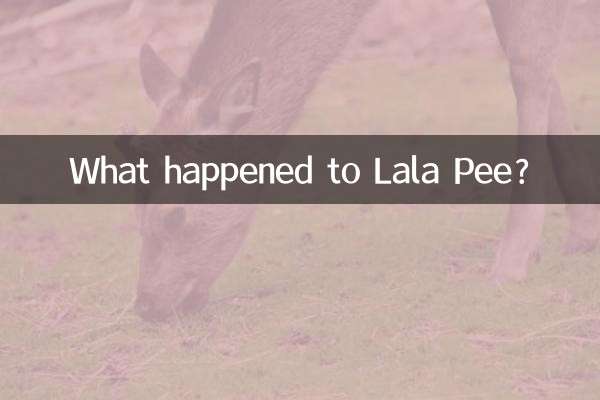 लाला पी को क्या हुआ?