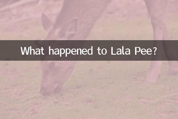 लाला पी को क्या हुआ?