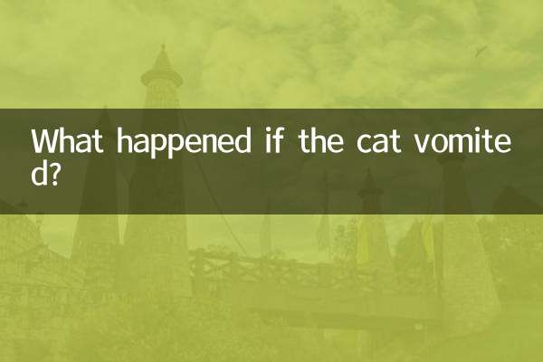 猫が嘔吐したらどうなるのでしょうか？