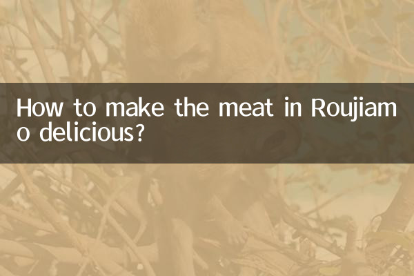 چگونه گوشت روجیامو را خوشمزه کنیم؟