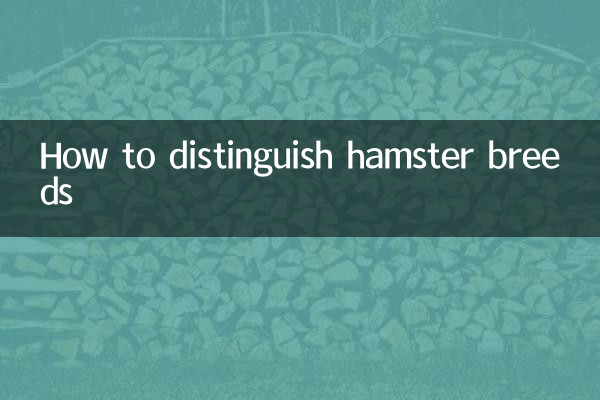 How to distinguish hamster breeds