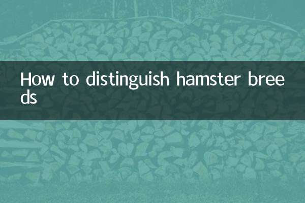How to distinguish hamster breeds