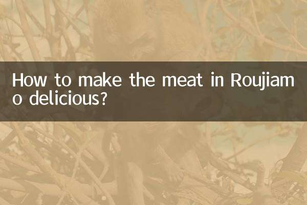 چگونه گوشت روجیامو را خوشمزه کنیم؟