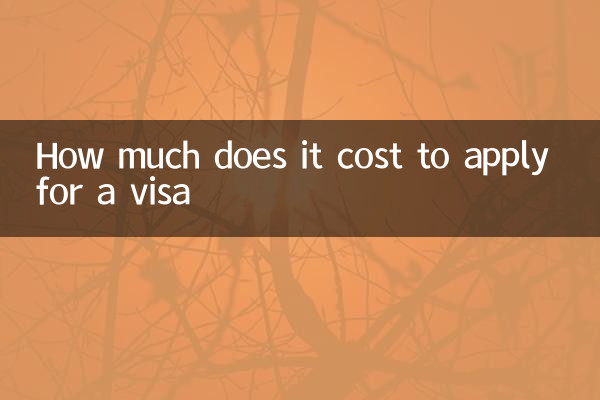 वीजा के लिए आवेदन करने में कितना खर्च होता है
