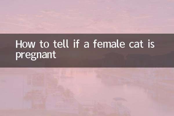 একটি মহিলা বিড়াল গর্ভবতী কিনা তা কিভাবে বলবেন