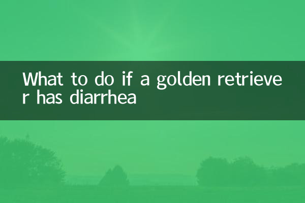 Que faire si un golden retriever a la diarrhée