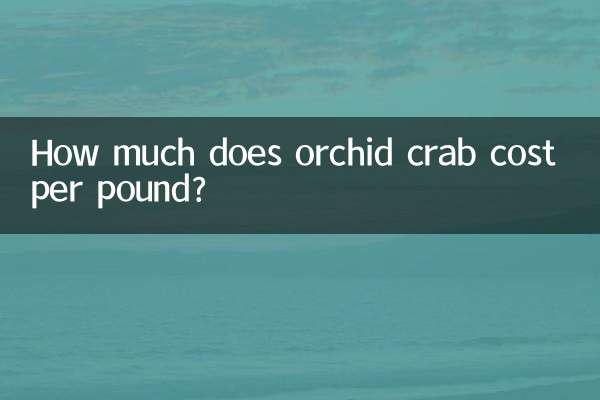 قیمت هر پوند خرچنگ ارکیده چقدر است؟