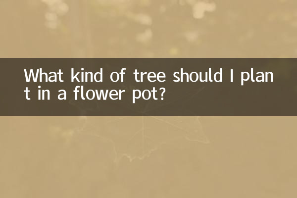 در گلدان چه درختی بکارم؟