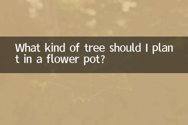 در گلدان چه درختی بکارم؟