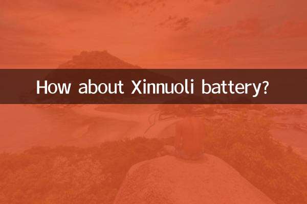 Xinnuoli 배터리는 어떻습니까?