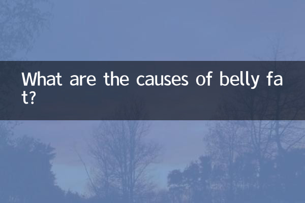 Quais são as causas da gordura da barriga?
