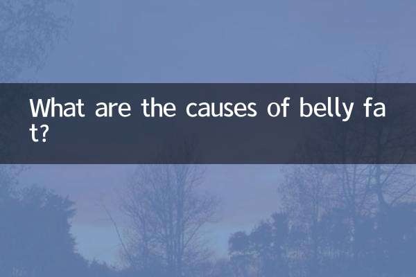 腹部胖是什麼原因