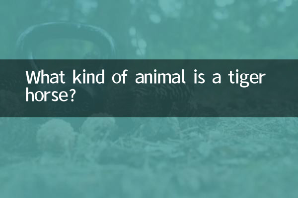 ¿Qué tipo de animal es un caballo tigre?